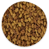 Fenugreek